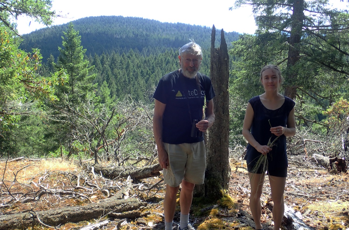 Harvey Janszen and Hannah Carpendale searching for Platanthera unalascensis on Stockade Hill, Galiano Island