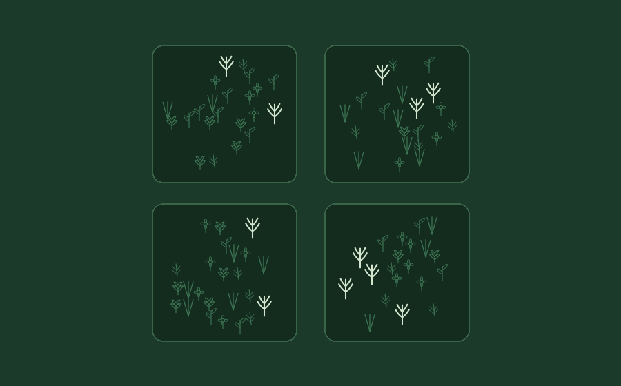 Animated diagram comparing the same species across four separate localities, showing local presence and loss independent of overall regional abundance